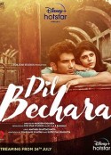 星运里的错 Dil Bechara            (2020)