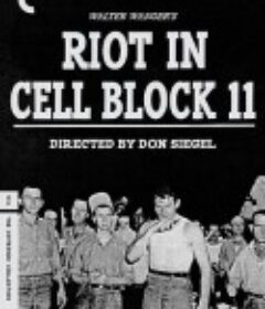 牢狱大暴动 Riot in Cell Block 11            (1954)