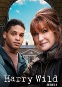 野探哈莉 第二季 Harry Wild Season 2            (2023)