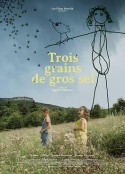 三粒粗盐 Trois Grains de Gros Sel            (2021)