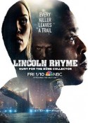 神探林肯 Lincoln Rhyme: Hunt for the Bone Collector            (2020)