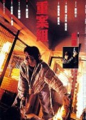 重案组 重案組            (1993)