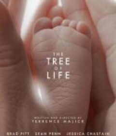 生命之树 The Tree of Life            (2011)