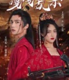 替嫁医妃嘎嘎乱杀            (2024)