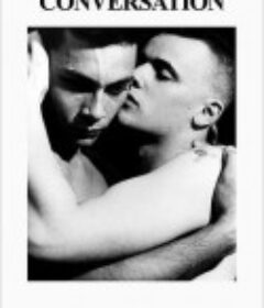 天使的对话 The Angelic Conversation            (1985)