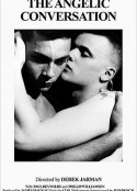 天使的对话 The Angelic Conversation            (1985)