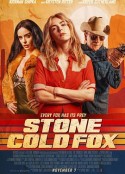 冷血狐狸 Stone Cold Fox            (2025)