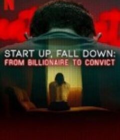 创业奇才堕落记：从亿万富豪到阶下囚 Start Up, Fall Down: From Billionaire to Convict            (2025)