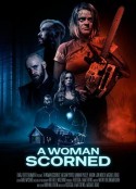 被轻视的女人 A Woman Scorned            (2025)