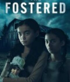 寄养家庭 The Fostered            (2025)