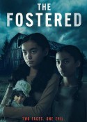 寄养家庭 The Fostered            (2025)