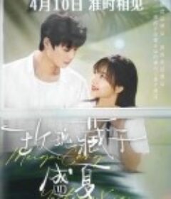 玫瑰藏于盛夏            (2025)