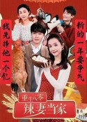 重生八零辣妻当家            (2025)