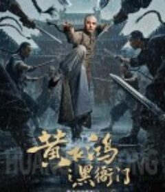 黄飞鸿之黑衙门            (2025)