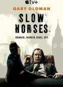 流人 第五季 Slow Horses Season 5            (2025)