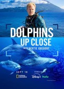 摄影师贝尔蒂与海豚零距离 Dolphins Up Close with Bertie Gregory            (2025)