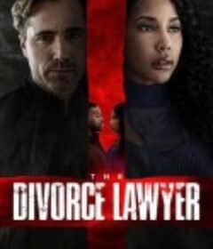 离婚律师 The Divorce Lawyer            (2025)