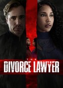 离婚律师 The Divorce Lawyer            (2025)