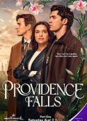 溯爱·天意 Providence Falls            (2025)