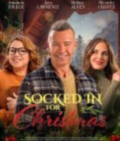 风雪圣诞情 The Great Christmas Snow-In            (2025)