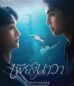 人鱼恋人 เพียงนาวา            (2025)