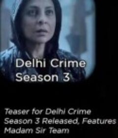 德里罪案 第三季 Delhi Crime Season 3            (2025)