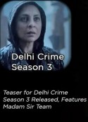 德里罪案 第三季 Delhi Crime Season 3            (2025)