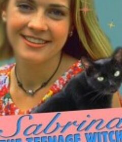 小女巫萨布琳娜 第一季 Sabrina, the Teenage Witch Season 1            (1996)