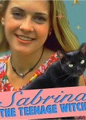 小女巫萨布琳娜 第一季 Sabrina, the Teenage Witch Season 1            (1996)