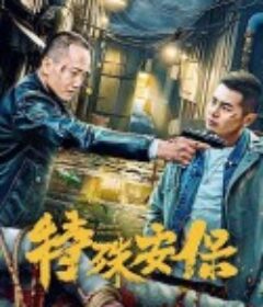 特殊安保            (2025)