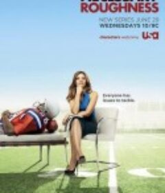 辣女队医 第一季 Necessary Roughness Season 1            (2011)