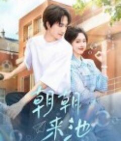 朝朝来池            (2025)