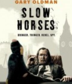 流人 第五季 Slow Horses Season 5            (2025)