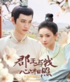 郡王与我心相照            (2025)