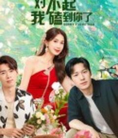 对不起，我磕到你了            (2025)