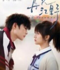 再见江野            (2025)