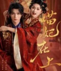 喵妃在上            (2025)