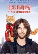 流浪猫鲍勃 A Street Cat Named Bob            (2016)
