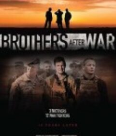 硝烟过后 Brothers After War            (2025)