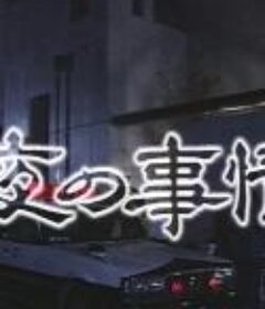 夜的事情 夜の事情            (1994)