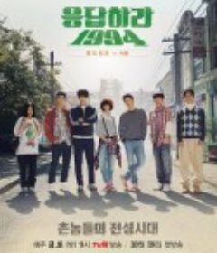 请回答1994 응답하라1994            (2013)