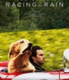 我在雨中等你 The Art of Racing in the Rain            (2019)