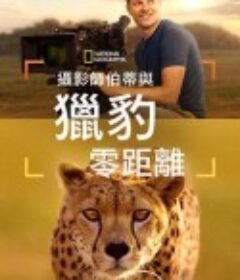 摄影师贝尔蒂与猎豹零距离 Cheetahs Up Close            (2026)
