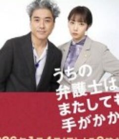 我家的律师又惹麻烦了 うちの弁護士はまたしても手がかかる            (2026)