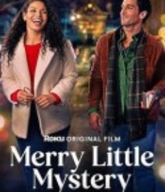妙谜送福 Merry Little Mystery            (2025)