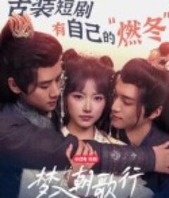 梦入朝歌行            (2025)