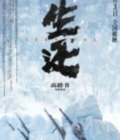 生还            (2025)