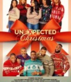 圣诞冤家路窄 Unexpected Christmas            (2025)