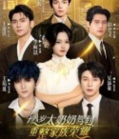 十八岁太奶奶驾到，重整家族荣耀2            (2025)