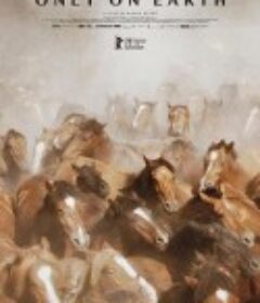 夏日烈焰 Ildsommer            (2025)夏日烈焰 Ildsommer            (2025)